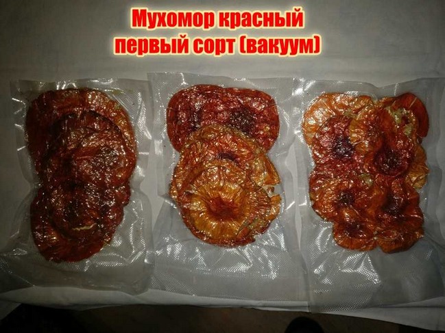 Микродозинг мухомора красного Спб